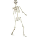 5.4 ft Posable Life Size Skeleton with Movable Joints C8105