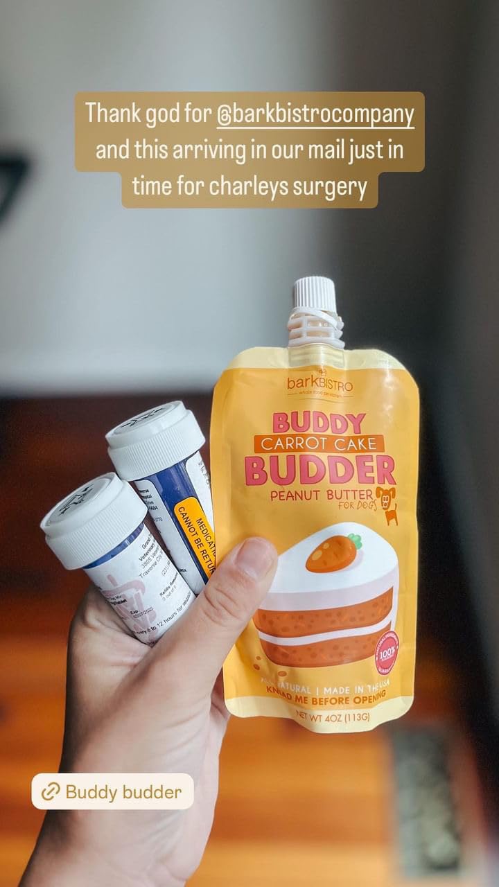 6 Pack 4oz Natural Dog Peanut Butter Squeeze Packs V2807