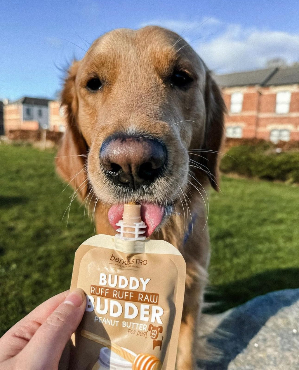 6 Pack 4oz Natural Dog Peanut Butter Squeeze Packs V2807