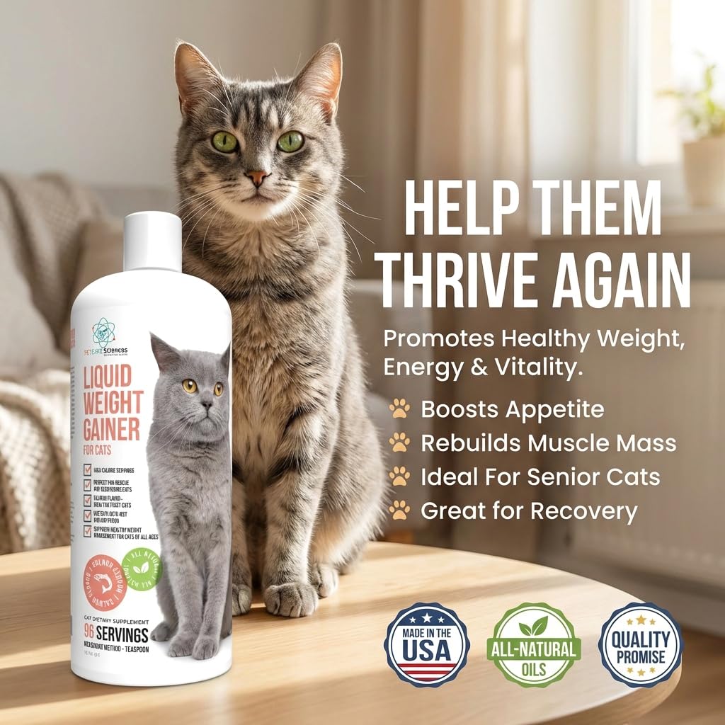 High Calorie Cat Weight Gainer Supplement Salmon Flavor 16oz Q26441