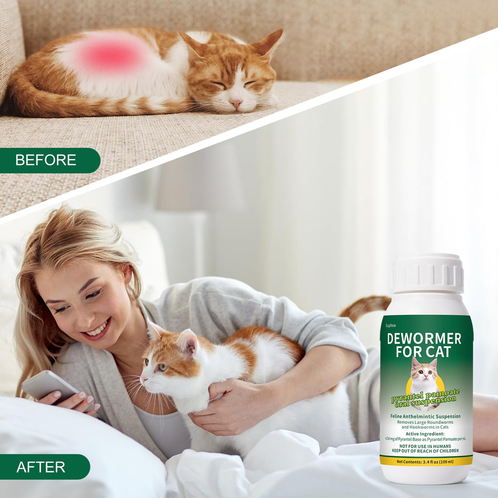 Pyrantel Pamoate Oral Suspension for Cats & Kittens, 100 mL A605