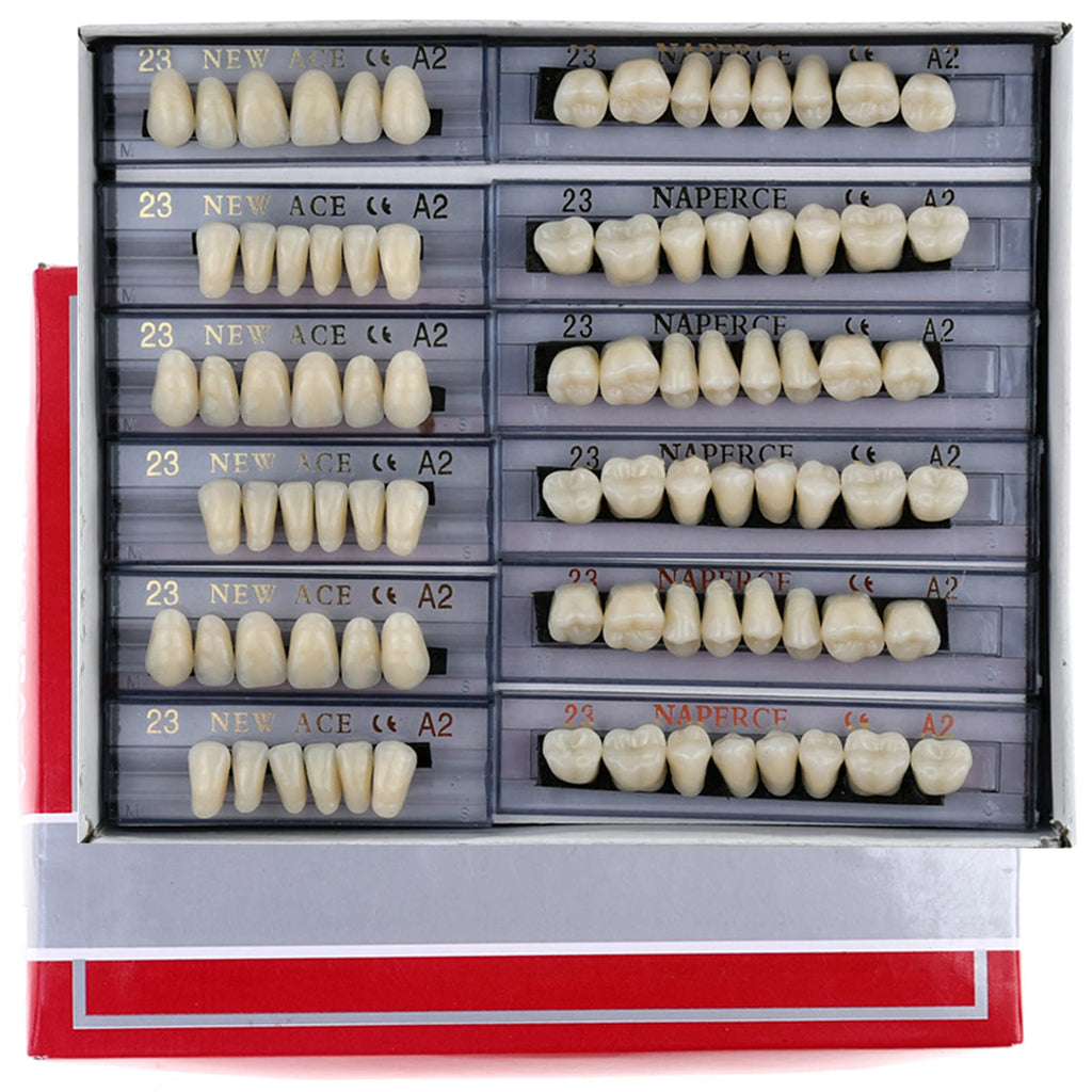 168 Pieces Acrylic Resin Denture Teeth 6 Sets 23 Shade A2 Upper + Lower L45497