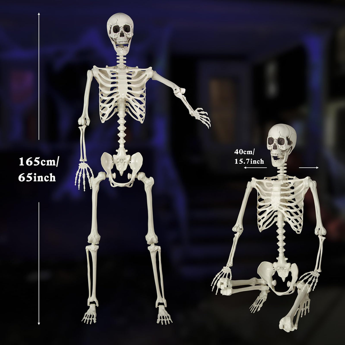 5.4 ft Posable Life Size Skeleton with Movable Joints C8105