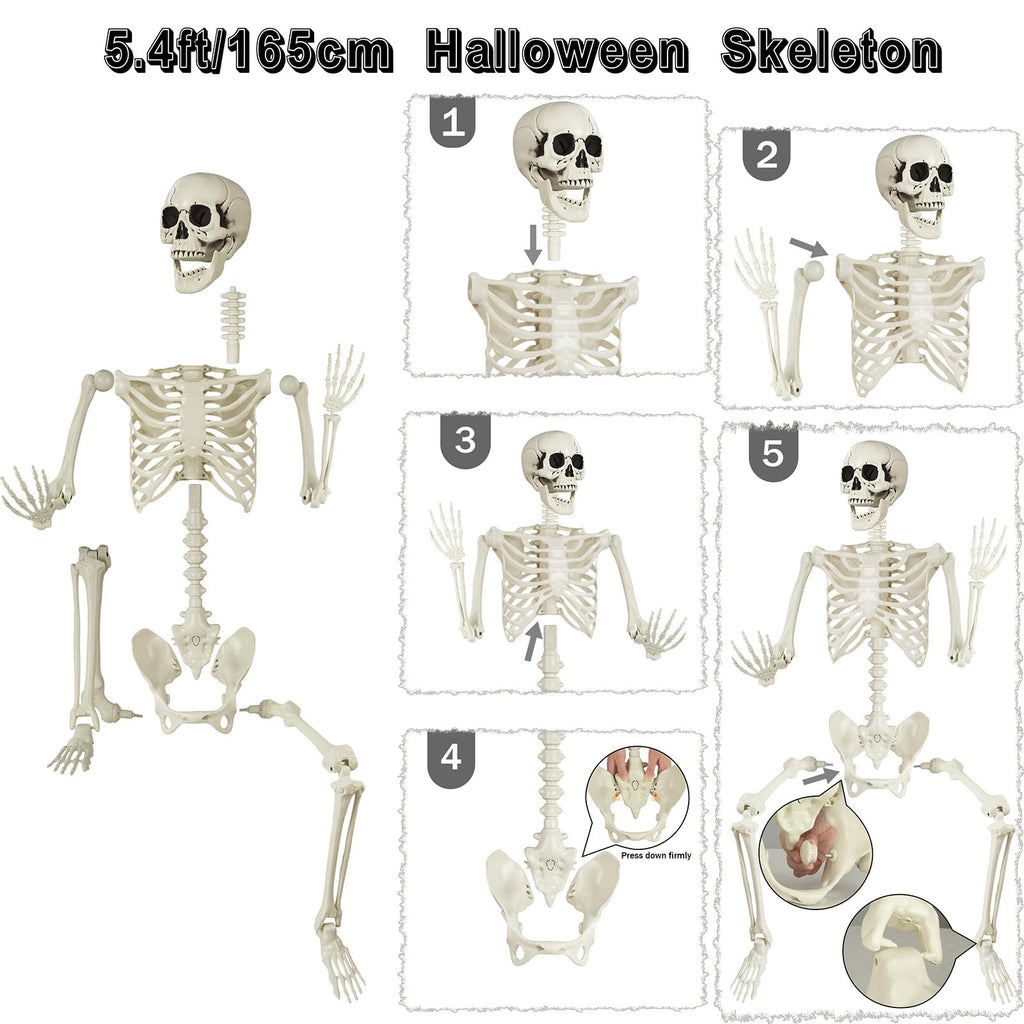 5.4 ft Posable Life Size Skeleton with Movable Joints C8105