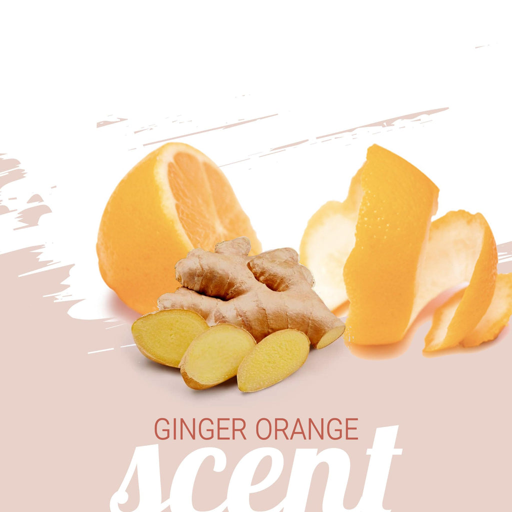 Ginger Orange Calming Dog Shampoo 1 Gallon R973