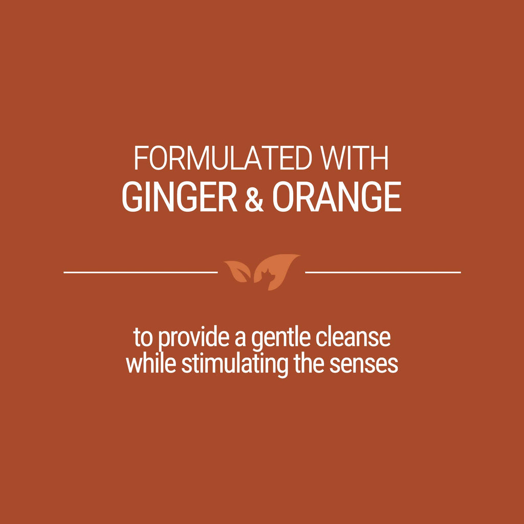 Ginger Orange Calming Dog Shampoo 1 Gallon R973