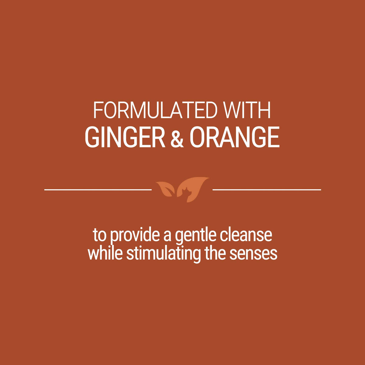 Ginger Orange Calming Dog Shampoo 1 Gallon R973