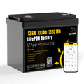 12V 100Ah LiFePO4 Lithium Battery J658