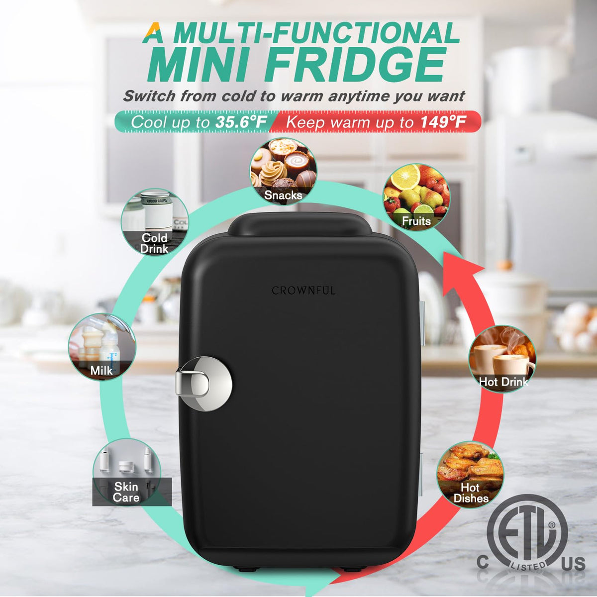 4 Liter 6 Can Portable Cooler and Warmer Mini Fridge E5290