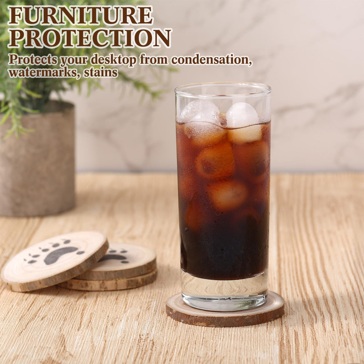 Black Bear Coaster Set with Canoe Holder P544