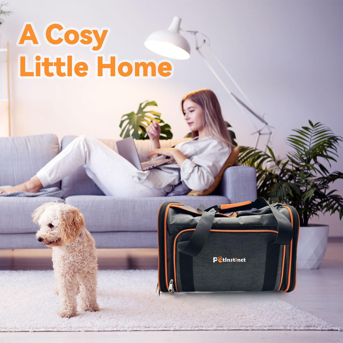 Airline Approved Pet Carrier J309