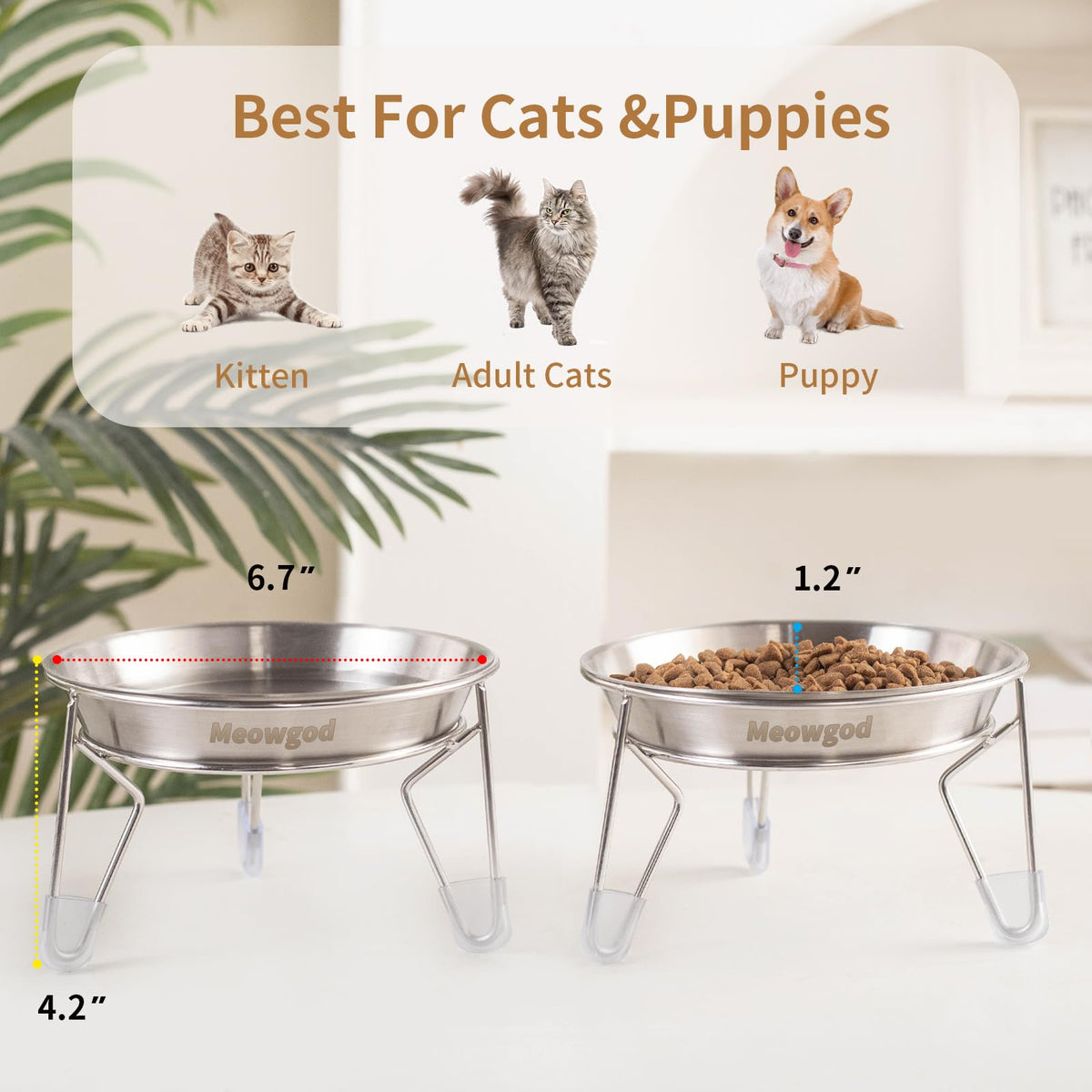 6.7" Elevated Stainless Steel Cat Bowls with Anti-Slip Stand W310