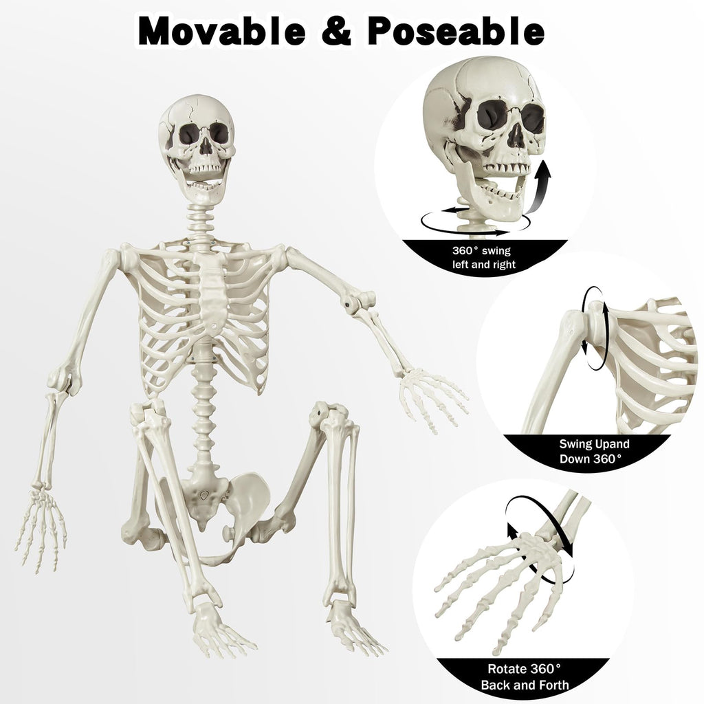5.4 ft Posable Life Size Skeleton with Movable Joints C8105
