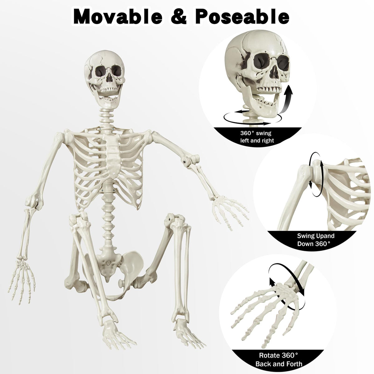 5.4 ft Posable Life Size Skeleton with Movable Joints C8105