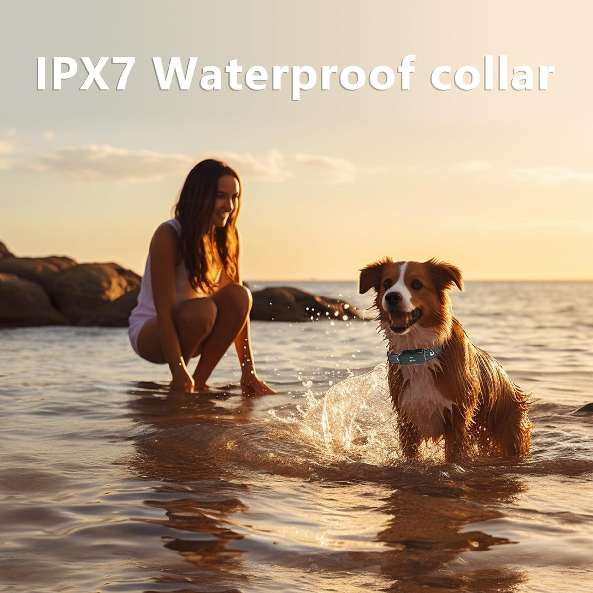 Wireless Dog Fence & Electronic Training Collar 2 in 1, IPX7 Waterproof R547
