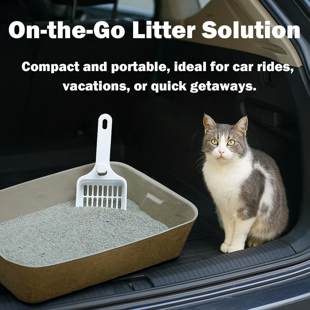 8 Pack Disposable Litter Boxes A2381