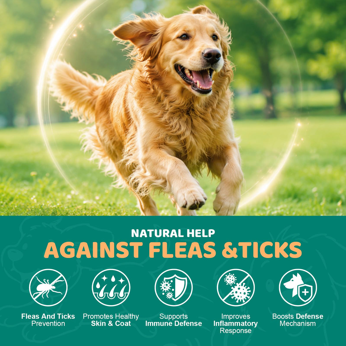 Flea and Tick Chews for Dogs C57003