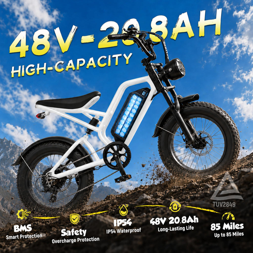 Electric Bike 48V 20.8/41.6Ah Battery 1500W Peak Motor 20×4.0" Fat Tire C387686