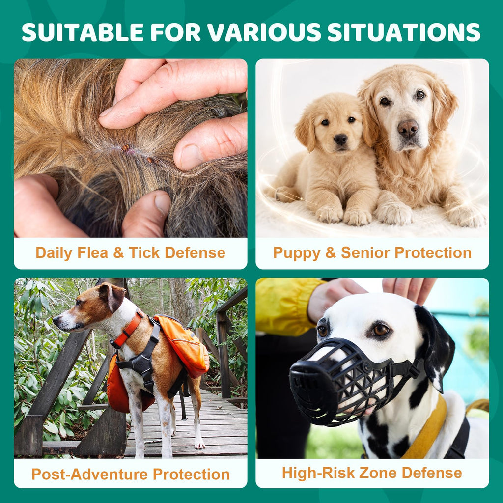Flea and Tick Chews for Dogs C57003