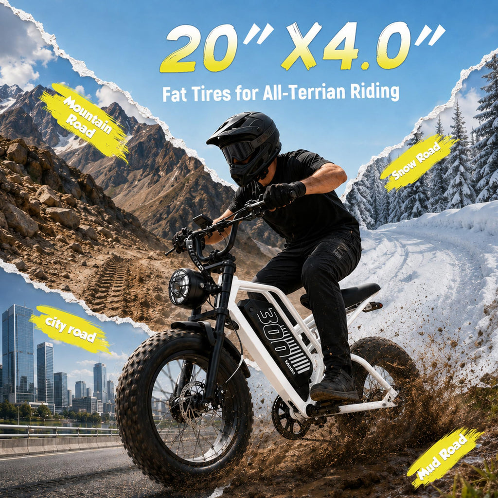 Electric Bike 48V 20.8/41.6Ah Battery 1500W Peak Motor 20×4.0" Fat Tire C387686