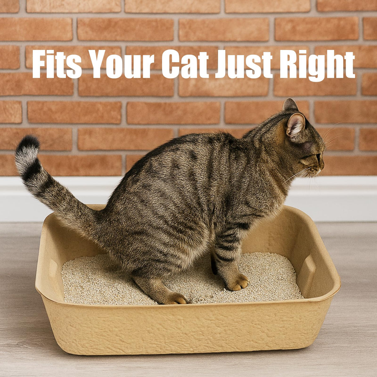 8 Pack Disposable Litter Boxes A2381