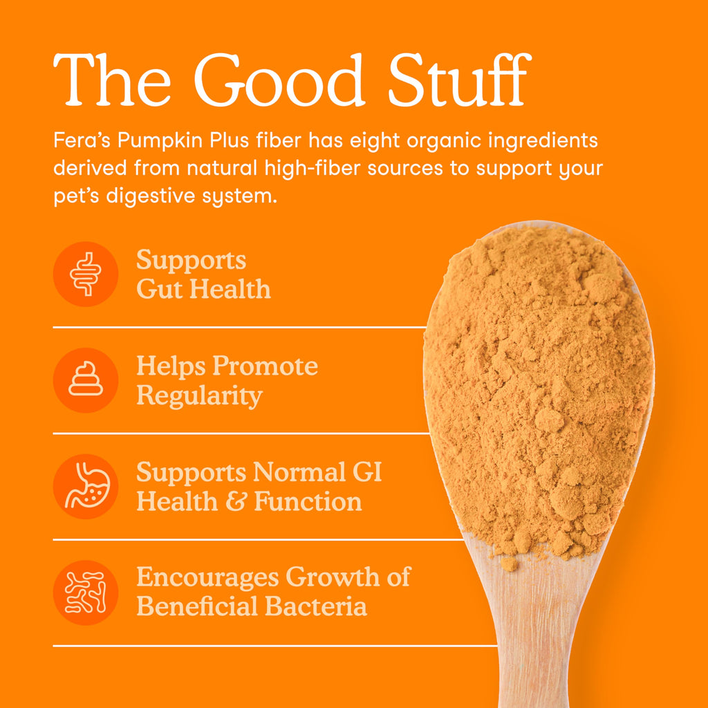 Pumpkin Fiber Supplement Powder 90 Scoops X515293