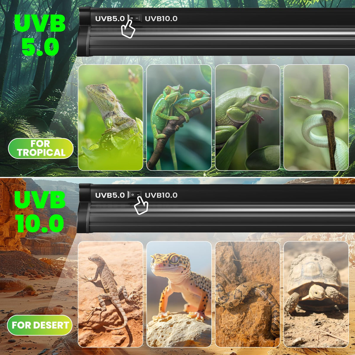 8W T5 UVB Reptile Light F5331