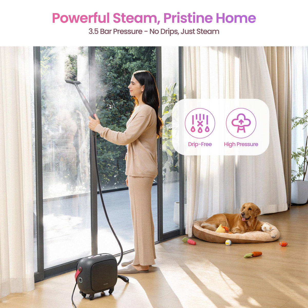 21-in-1 Steam Cleaner H87064