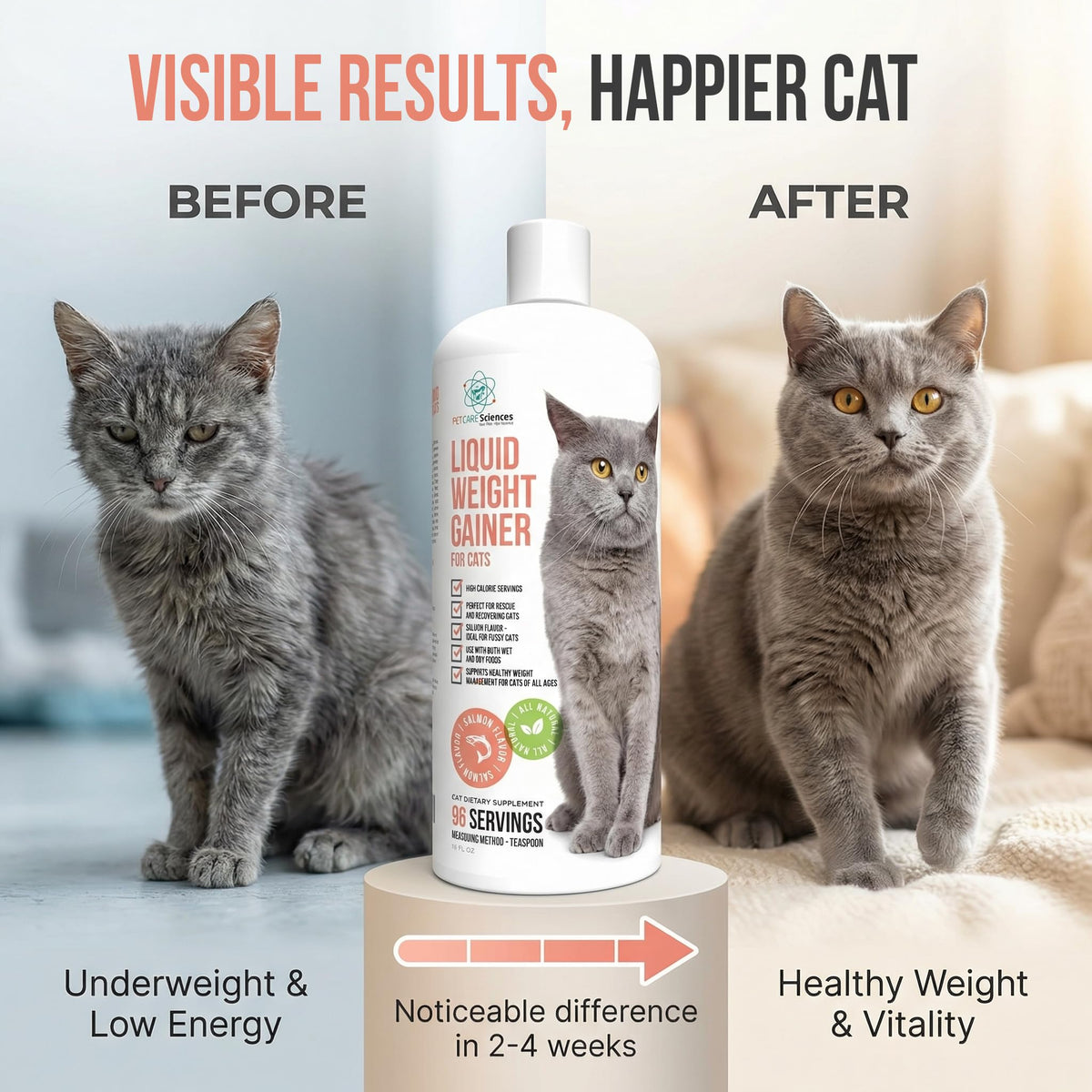 High Calorie Cat Weight Gainer Supplement Salmon Flavor 16oz Q26441