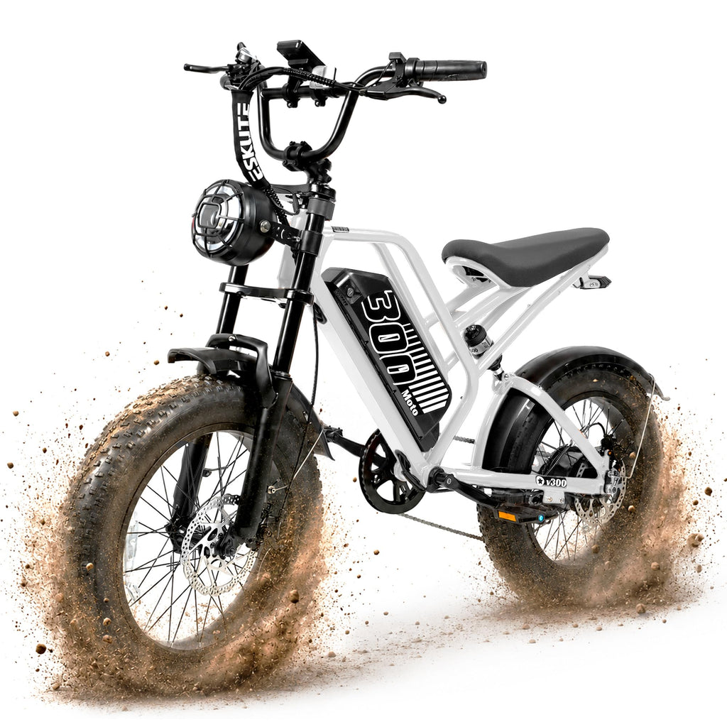 Electric Bike 48V 20.8/41.6Ah Battery 1500W Peak Motor 20×4.0" Fat Tire C387686