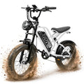 Electric Bike 48V 20.8/41.6Ah Battery 1500W Peak Motor 20×4.0" Fat Tire C387686
