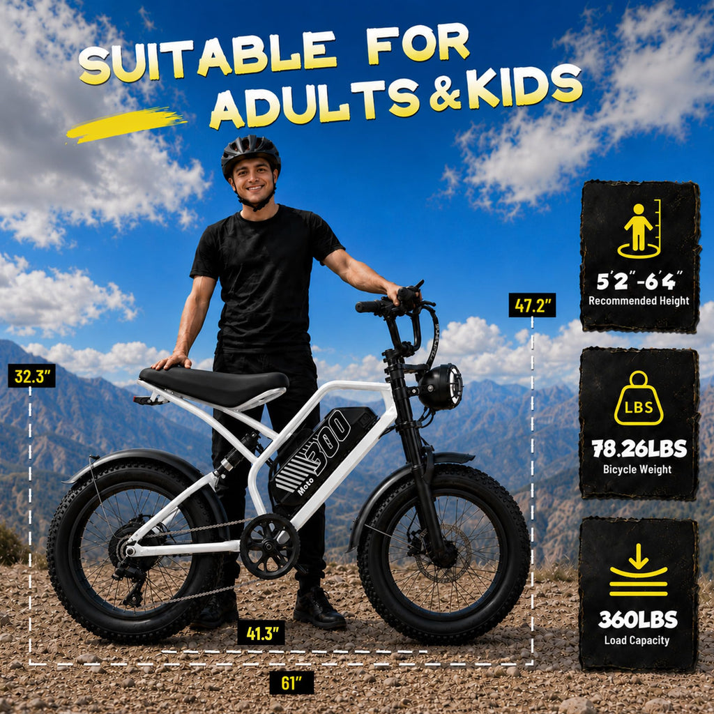 Electric Bike 48V 20.8/41.6Ah Battery 1500W Peak Motor 20×4.0" Fat Tire C387686