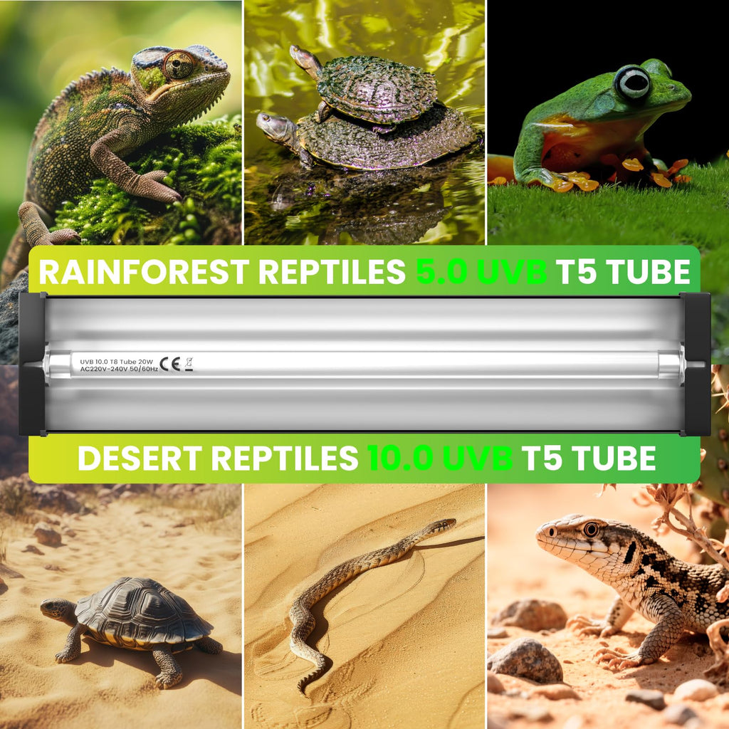 8W T5 UVB Reptile Light F5331