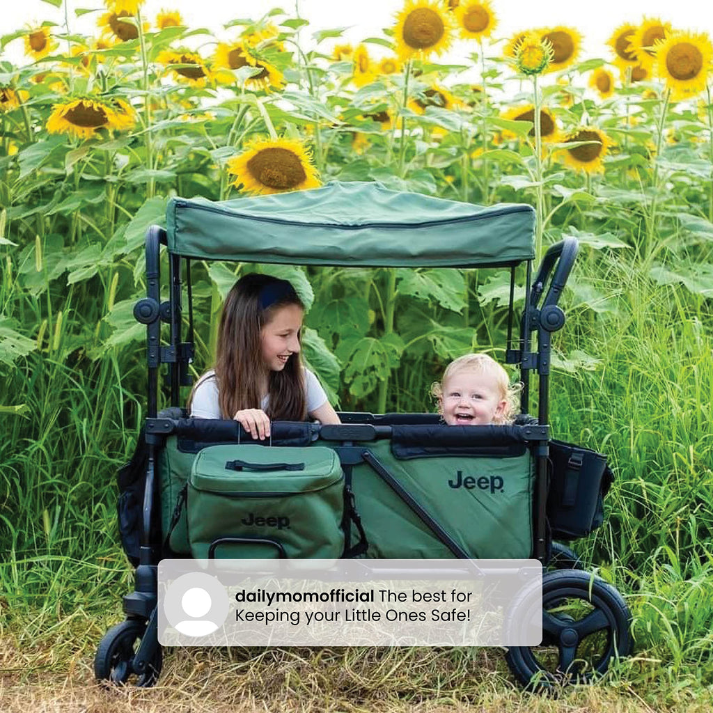 Black/Green Stroller Wagon with Cooler Bag A40303