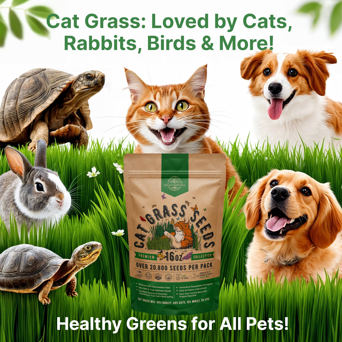 Cat Grass Seeds Mix 16 oz Non-GMO Heirloom U3058