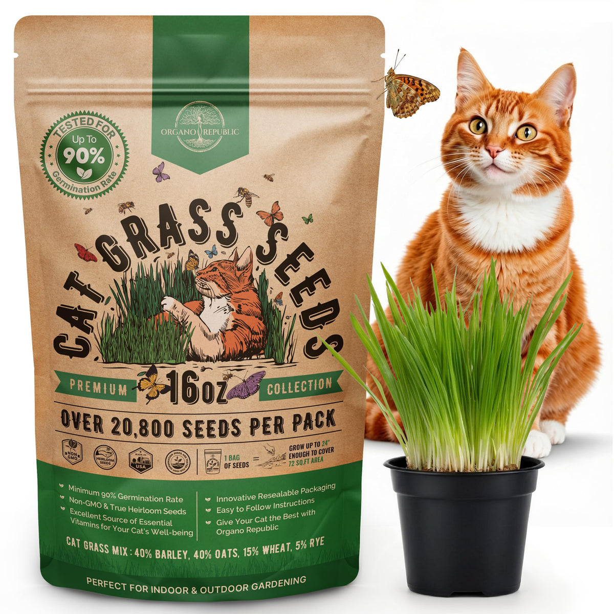 Cat Grass Seeds Mix 16 oz Non-GMO Heirloom U3058