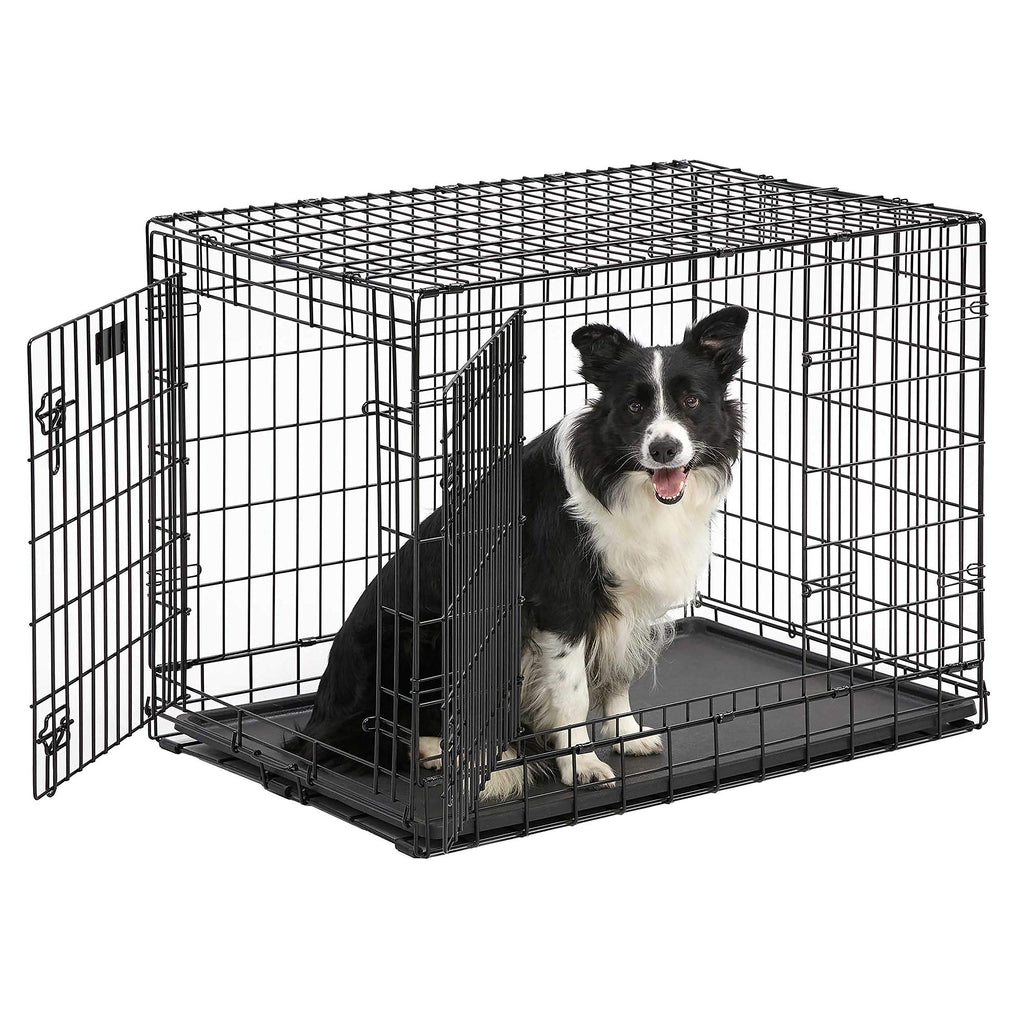 36-Inch Double Door Dog Crate E280